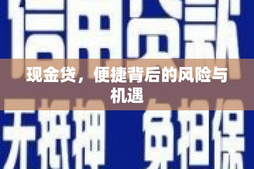 赤城现金贷，便捷背后的风险与机遇