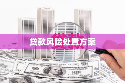 赤城贷款风险处置方案