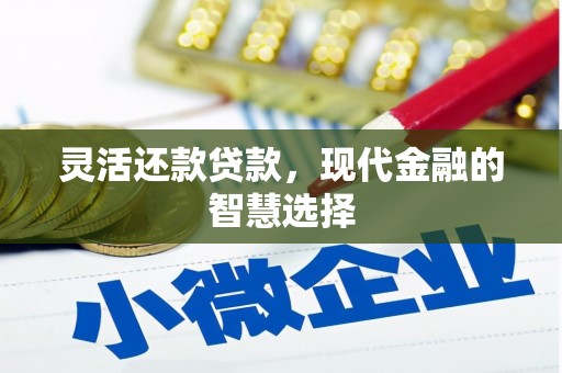 赤城灵活还款贷款，现代金融的智慧选择