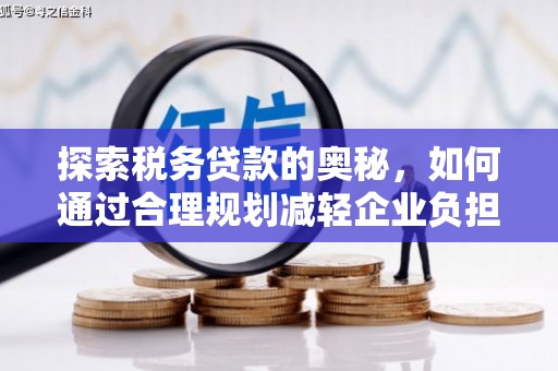 赤城探索税务贷款的奥秘，如何通过合理规划减轻企业负担