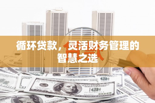 赤城循环贷款，灵活财务管理的智慧之选