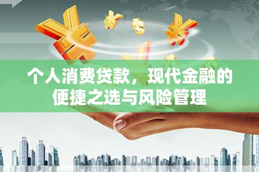 赤城个人消费贷款，现代金融的便捷之选与风险管理
