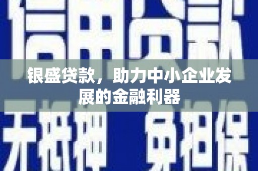 赤城银盛贷款，助力中小企业发展的金融利器
