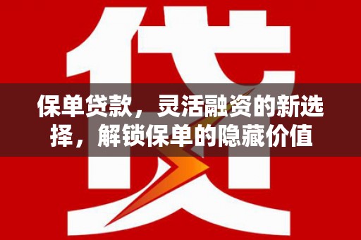 赤城保单贷款，灵活融资的新选择，解锁保单的隐藏价值