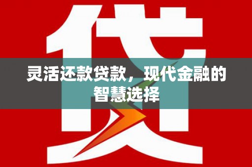 赤城灵活还款贷款，现代金融的智慧选择