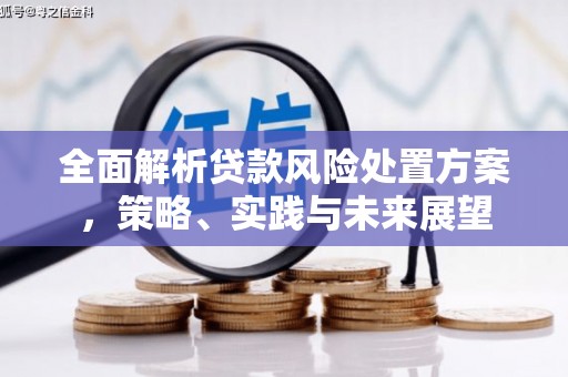 赤城全面解析贷款风险处置方案，策略、实践与未来展望
