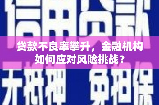 赤城贷款不良率攀升，金融机构如何应对风险挑战？