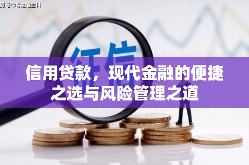 赤城信用贷款，现代金融的便捷之选与风险管理之道