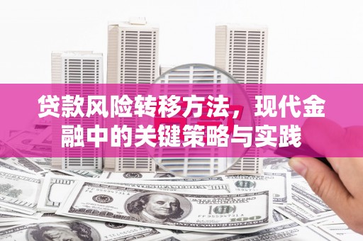 赤城贷款风险转移方法，现代金融中的关键策略与实践