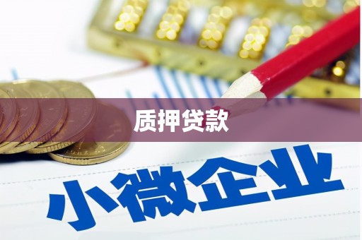 赤城质押贷款