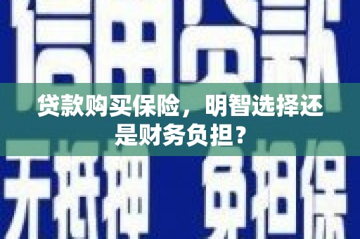 赤城贷款购买保险，明智选择还是财务负担？