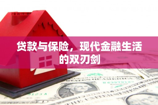 赤城贷款与保险，现代金融生活的双刃剑