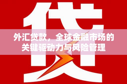 赤城外汇贷款，全球金融市场的关键驱动力与风险管理