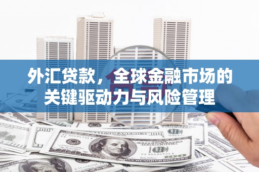 赤城外汇贷款，全球金融市场的关键驱动力与风险管理