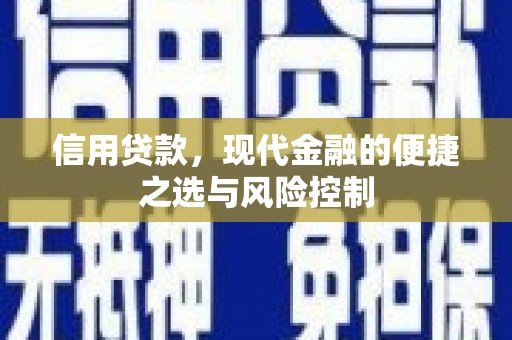 赤城信用贷款，现代金融的便捷之选与风险控制