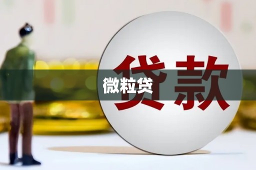 赤城微粒贷