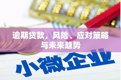 赤城逾期贷款，风险、应对策略与未来趋势