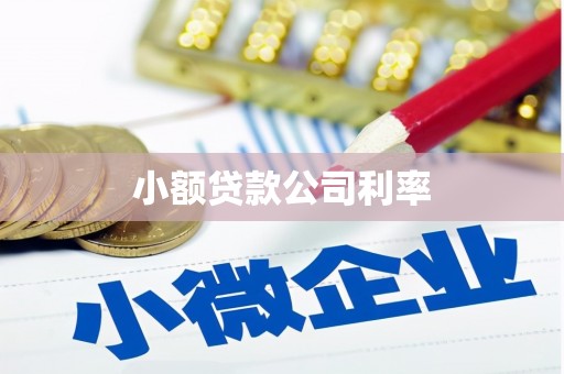赤城小额贷款公司利率