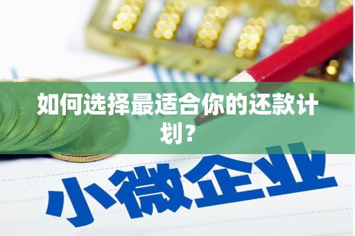 赤城如何选择最适合你的还款计划？