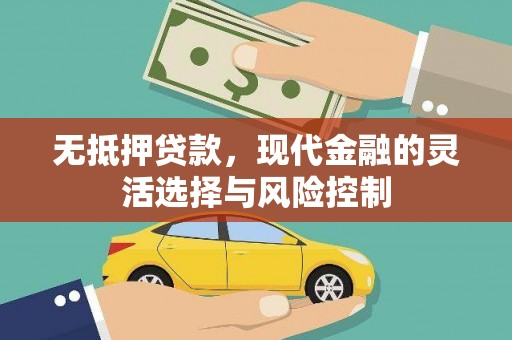 赤城无抵押贷款，现代金融的灵活选择与风险控制
