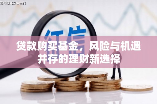 赤城贷款购买基金，风险与机遇并存的理财新选择