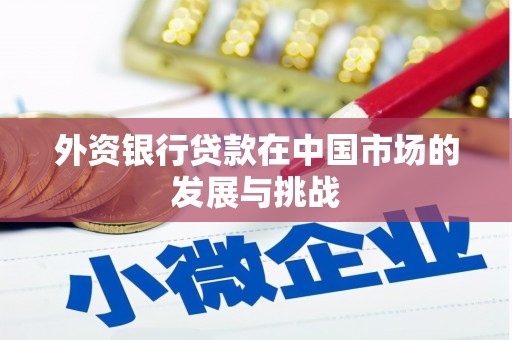 赤城外资银行贷款在中国市场的发展与挑战