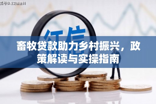 赤城畜牧贷款助力乡村振兴，政策解读与实操指南