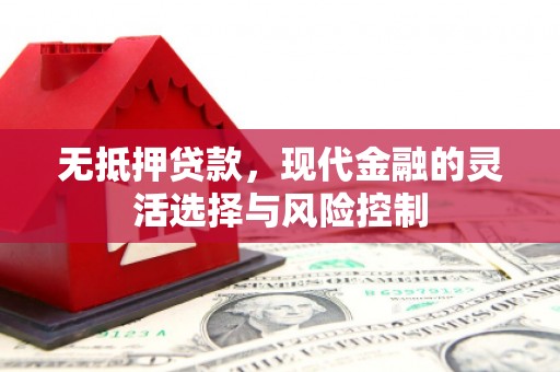 赤城无抵押贷款，现代金融的灵活选择与风险控制