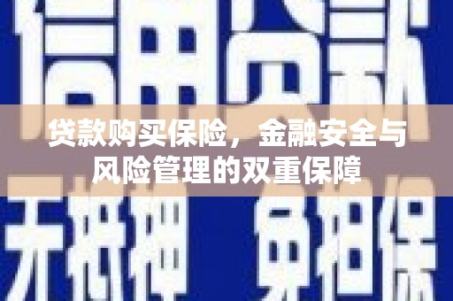 赤城贷款购买保险，金融安全与风险管理的双重保障