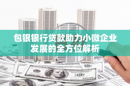 赤城包银银行贷款助力小微企业发展的全方位解析
