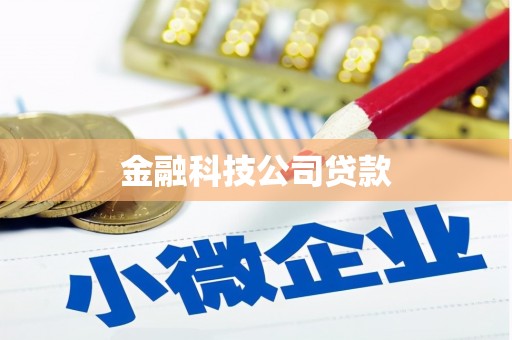 赤城金融科技公司贷款