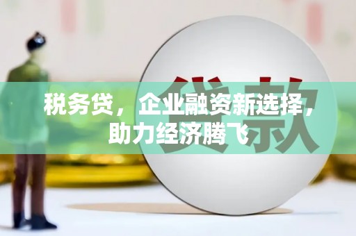 赤城税务贷，企业融资新选择，助力经济腾飞