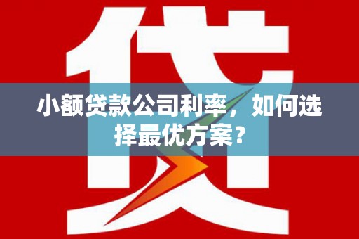赤城小额贷款公司利率，如何选择最优方案？