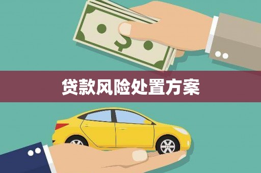 赤城贷款风险处置方案