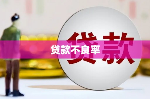 赤城贷款不良率