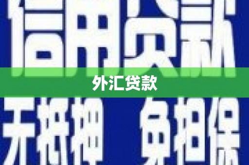 赤城外汇贷款