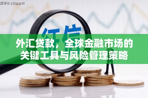 赤城外汇贷款，全球金融市场的关键工具与风险管理策略