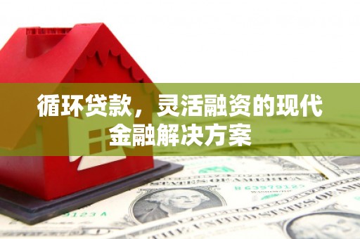 赤城循环贷款，灵活融资的现代金融解决方案