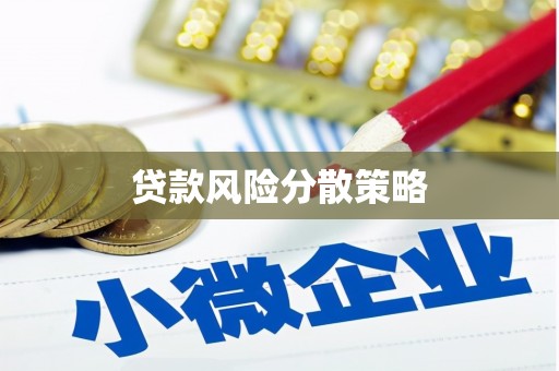 赤城贷款风险分散策略