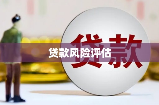 赤城贷款风险评估