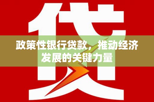 赤城政策性银行贷款，推动经济发展的关键力量