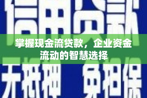 赤城掌握现金流贷款，企业资金流动的智慧选择