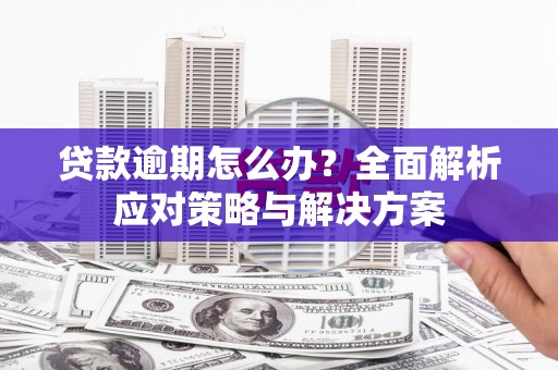 赤城贷款逾期怎么办？全面解析应对策略与解决方案