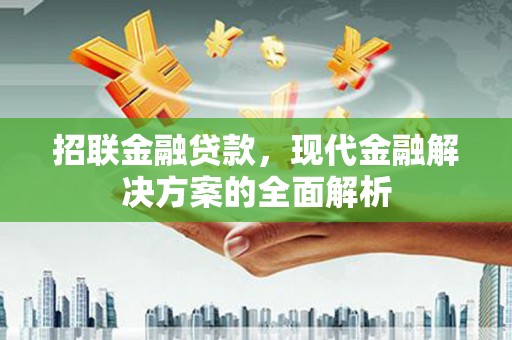赤城招联金融贷款，现代金融解决方案的全面解析