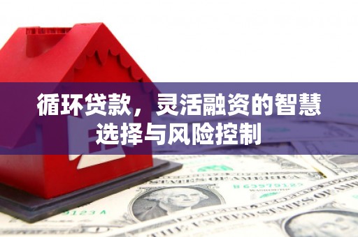 赤城循环贷款，灵活融资的智慧选择与风险控制