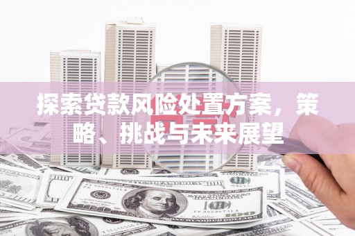 赤城探索贷款风险处置方案，策略、挑战与未来展望