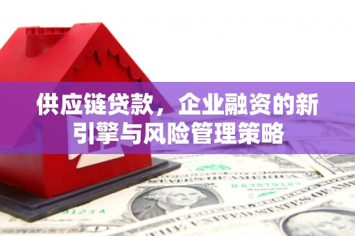 赤城供应链贷款，企业融资的新引擎与风险管理策略
