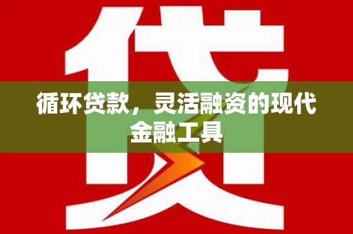 赤城循环贷款，灵活融资的现代金融工具