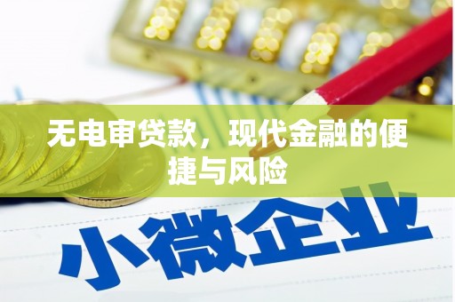赤城无电审贷款，现代金融的便捷与风险