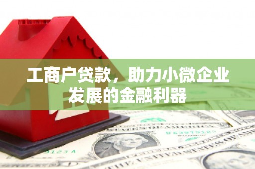 赤城工商户贷款，助力小微企业发展的金融利器